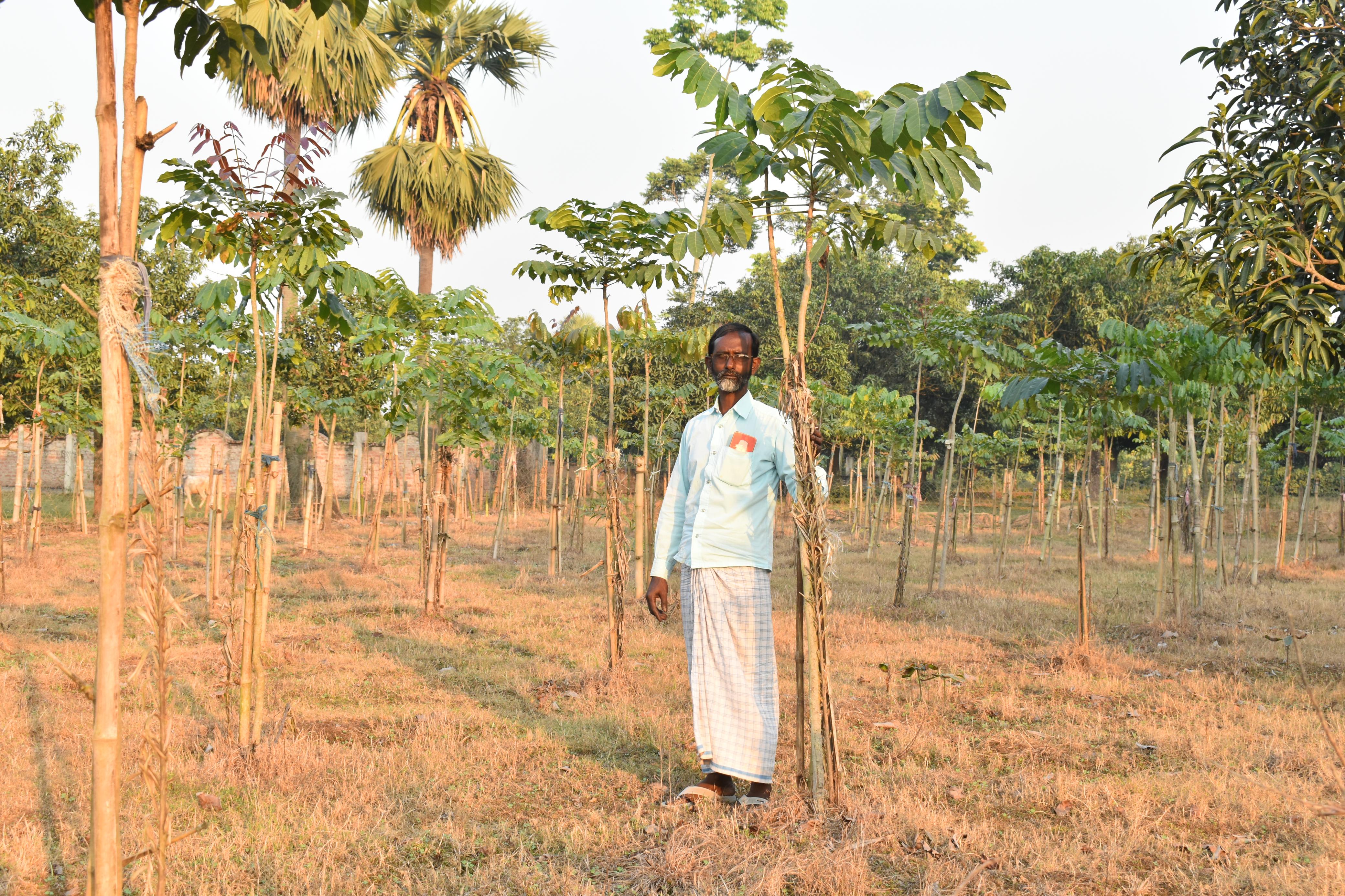 Plant Today, Prosper Tomorrow. How Lombu Trees Are Transforming Farms in Farakka